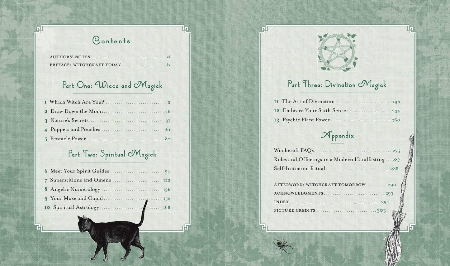 The Witch's Way by Shawn Robbins (Hardcover)