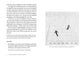 Dictionary of Obscure Sorrows by John Koenig (Hardcover)