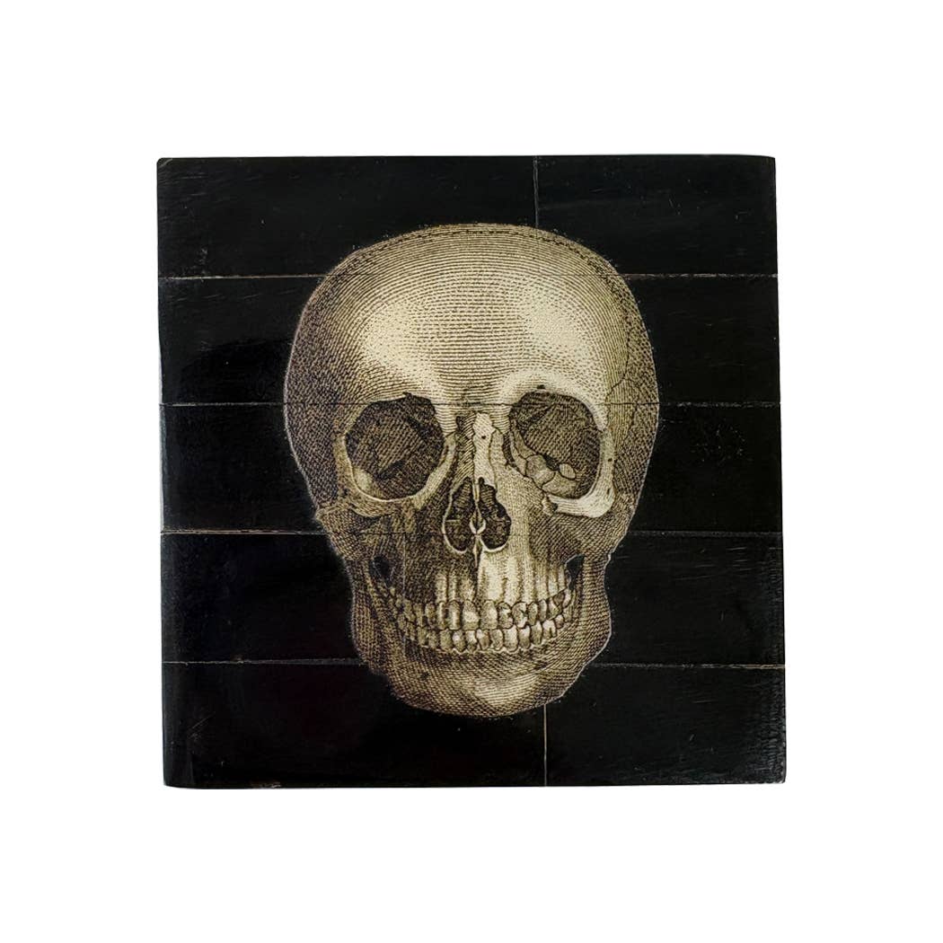 Black Horn Box with Printed Skull
