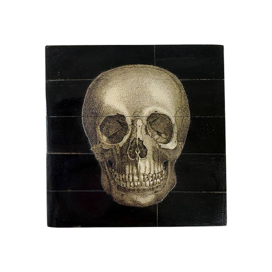 Black Horn Box with Printed Skull