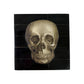 Black Horn Box with Printed Skull