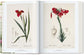Redouté. The Book of Flowers (German, French, English)