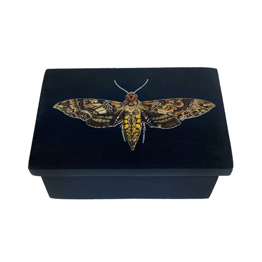 3" Hawk Moth Black Soapstone Trinket Jewelry Box