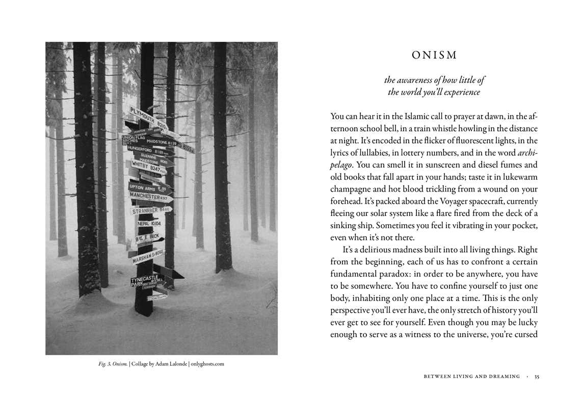 Dictionary of Obscure Sorrows by John Koenig