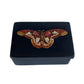 Atlas Moth Black Soapstone Trinket Box