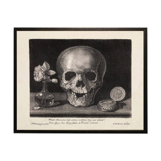 Vintage skull drawing