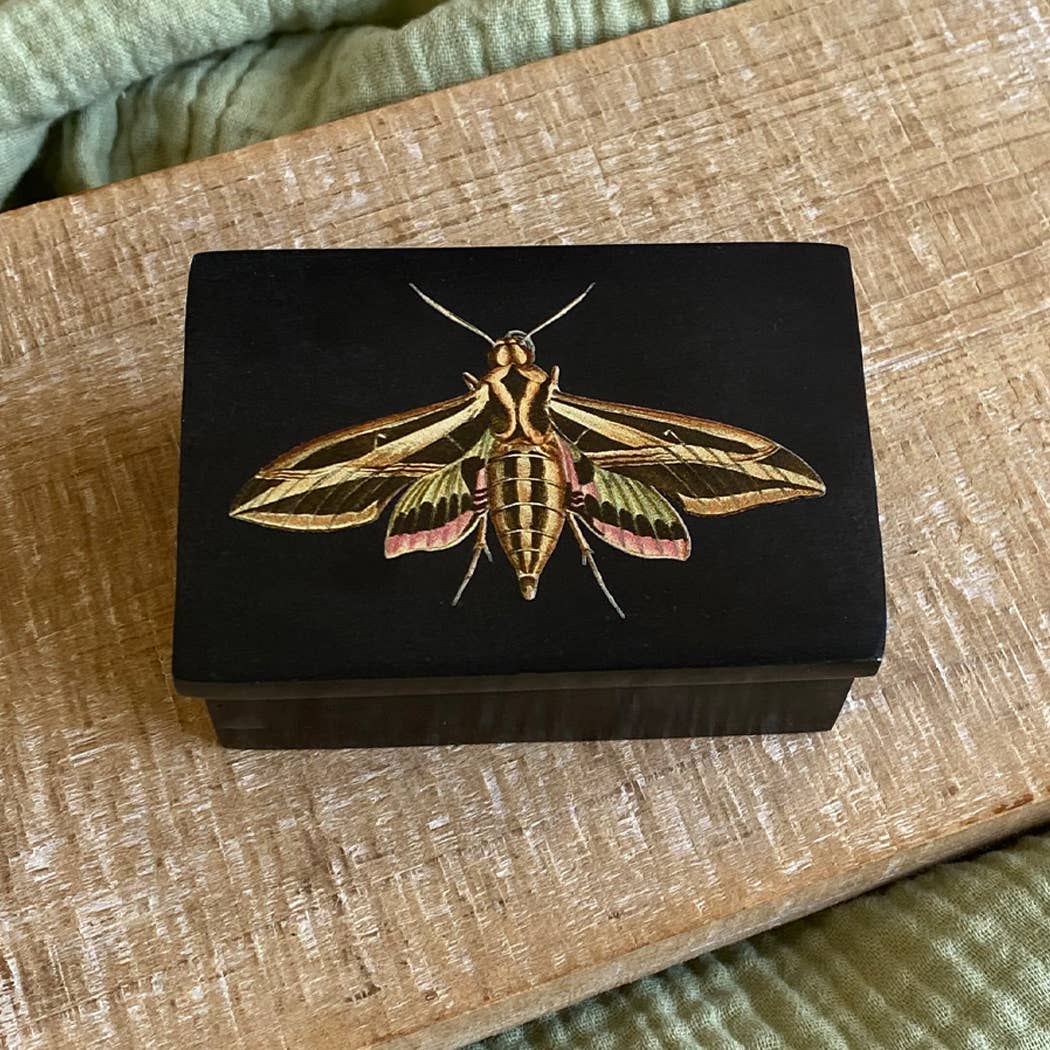 Sphinx Moth Black Soapstone Trinket Box