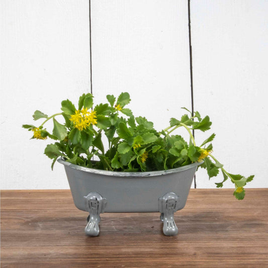 Enamel Metal Bathtub Soap Dish