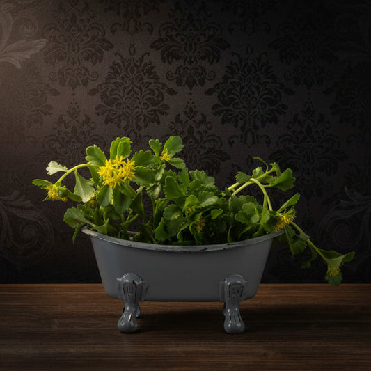 Enamel Metal Bathtub Soap Dish