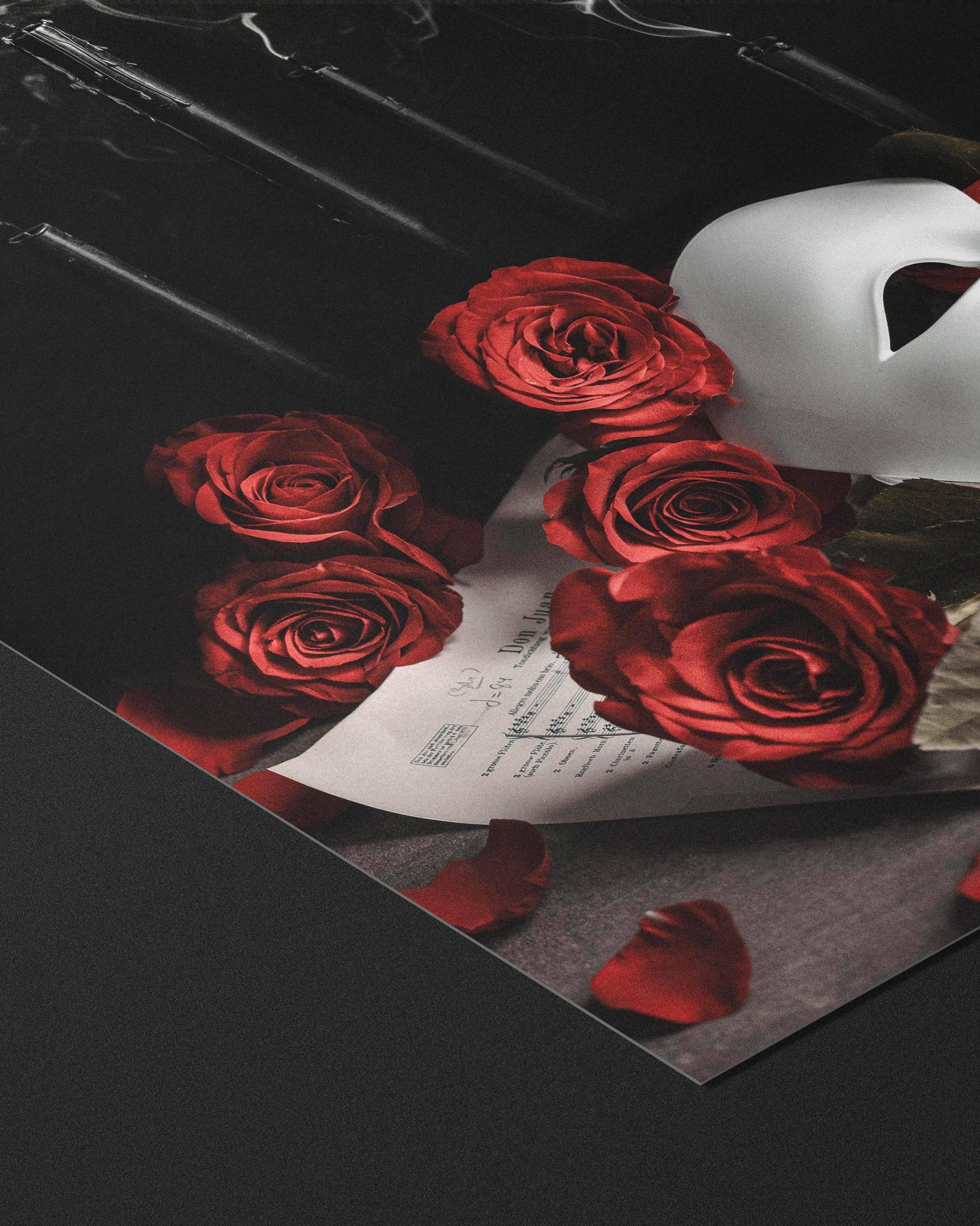 Music Of The Night Fine Art Print by Alyssa Thorne