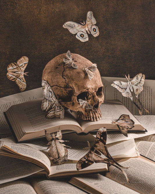 Bury Me In The Library Fine Art Print by Alyssa Thorne
