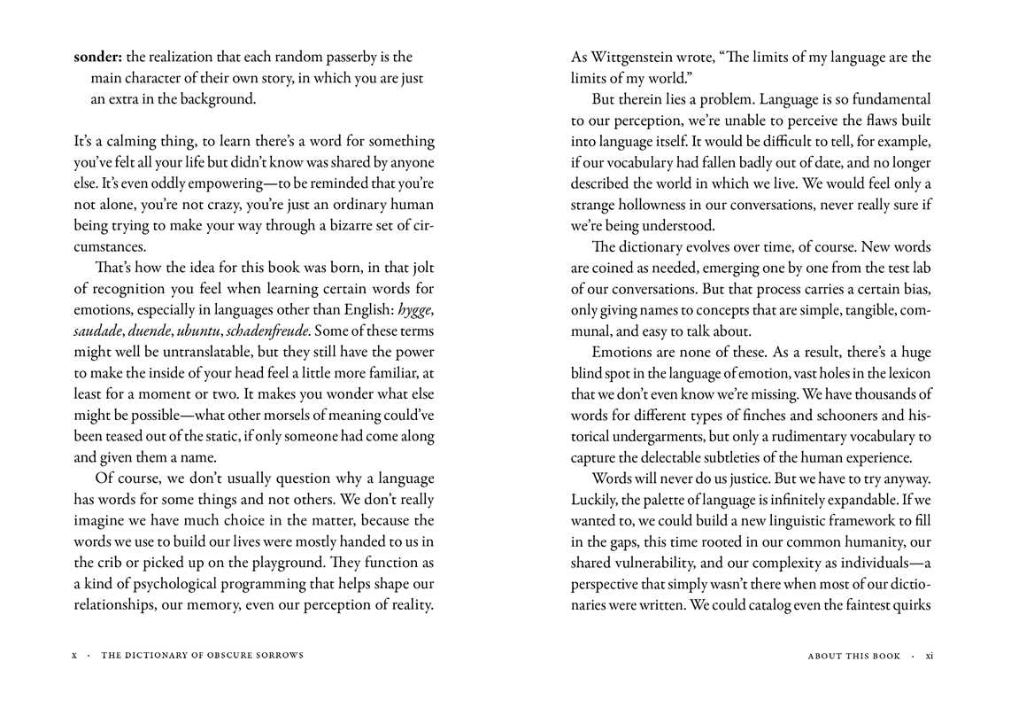 Dictionary of Obscure Sorrows by John Koenig