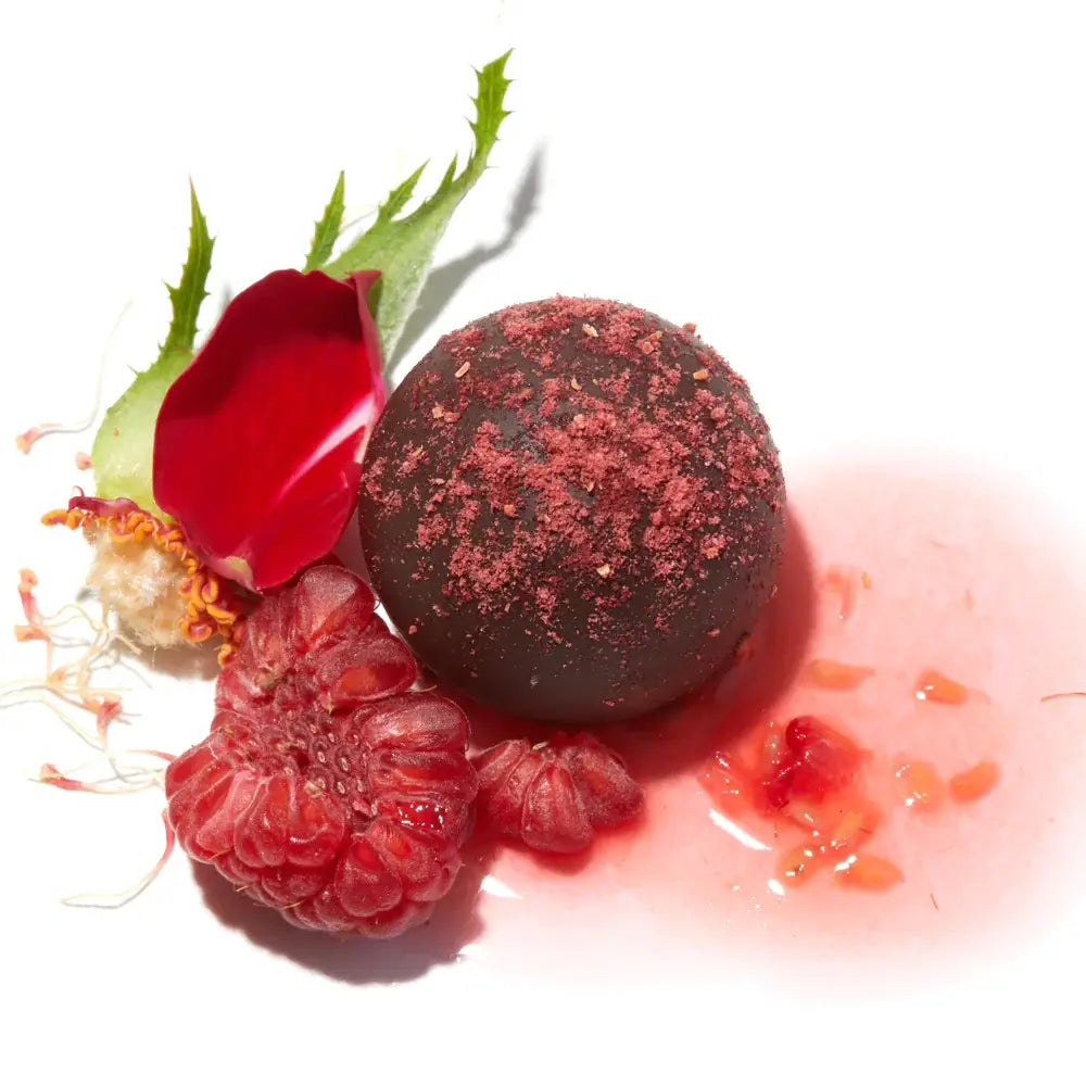 Gourmet Vegan Chocolate Truffles w/ High-Phenolic Olive Oil