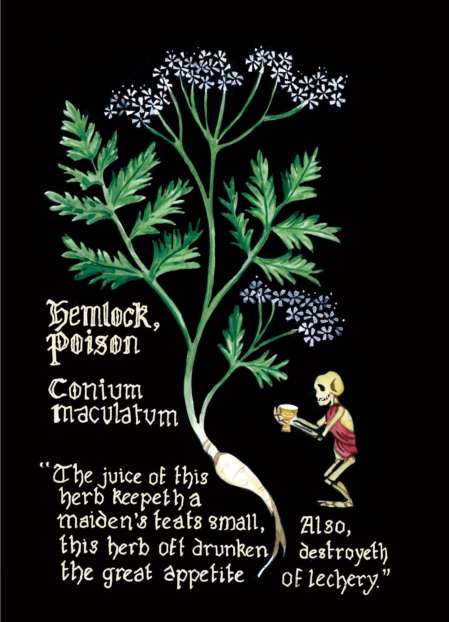 Pocket Herball: Herbs for the Mediaeval Household