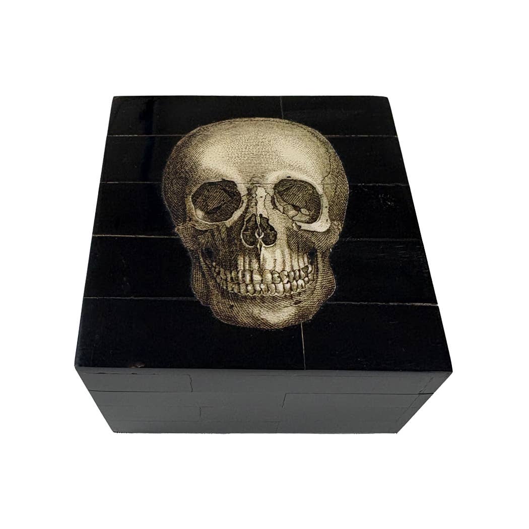Black Horn Box with Printed Skull
