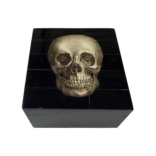 Black Horn Box with Printed Skull