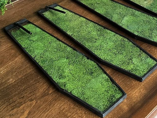 Glass Moss Coffin Incense Holder