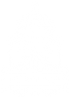 Nocturne LLC