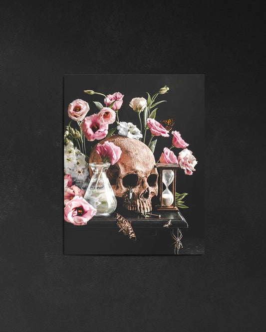 Vanitas I  - Pearlescent Print by Alyssa Thorne