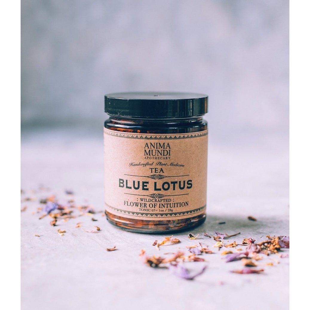 Blue Lotus Tea: Petals + Stamen