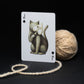 Cabinetarium Playing Cards - Nocturne LLC
