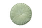 Velvet Round Handmade Pillow,  Pistachio Green - 16 Inch