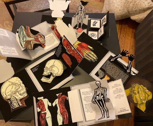 Handmade Pop-Up Book: My Anatomical Journal: Notes from the Body in the 21st Century