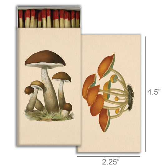 Matches - Mushrooms - Nocturne LLC