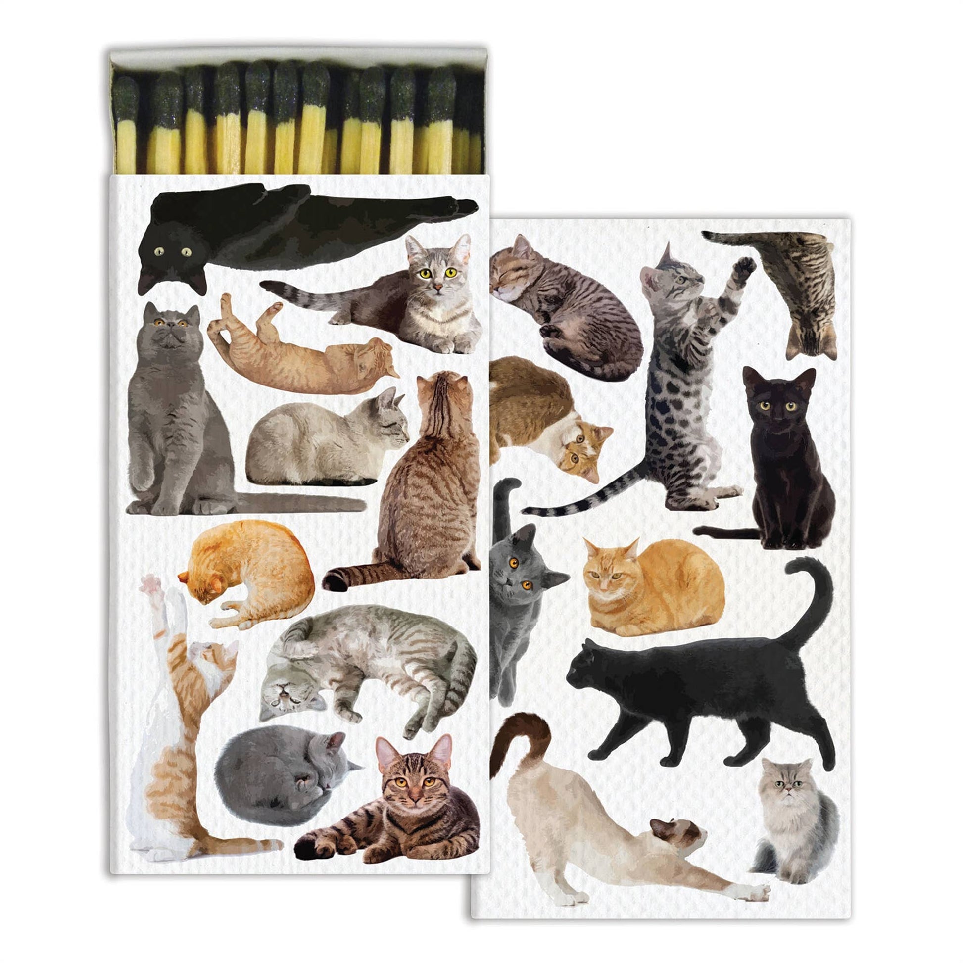 Multiple Kitty Cat - Safety Matches - Nocturne LLC