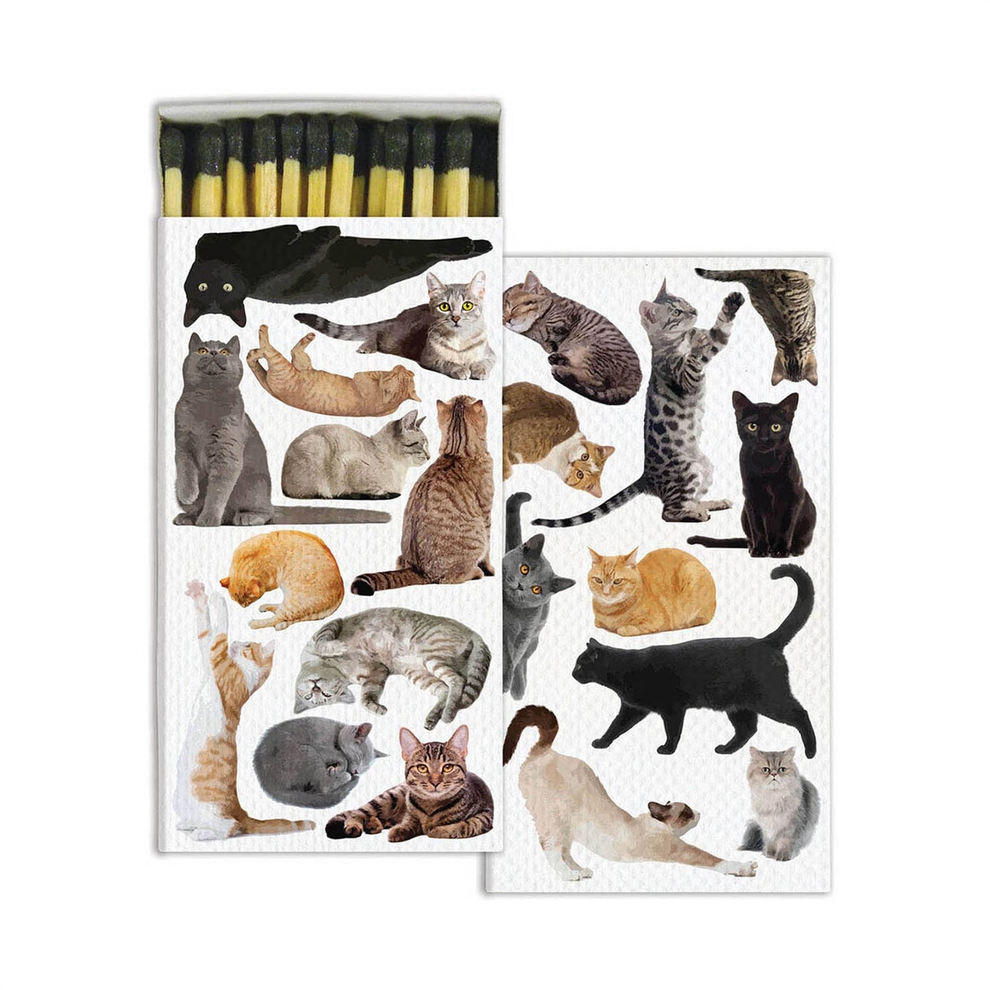 Multiple Kitty Cat - Safety Matches - Nocturne LLC