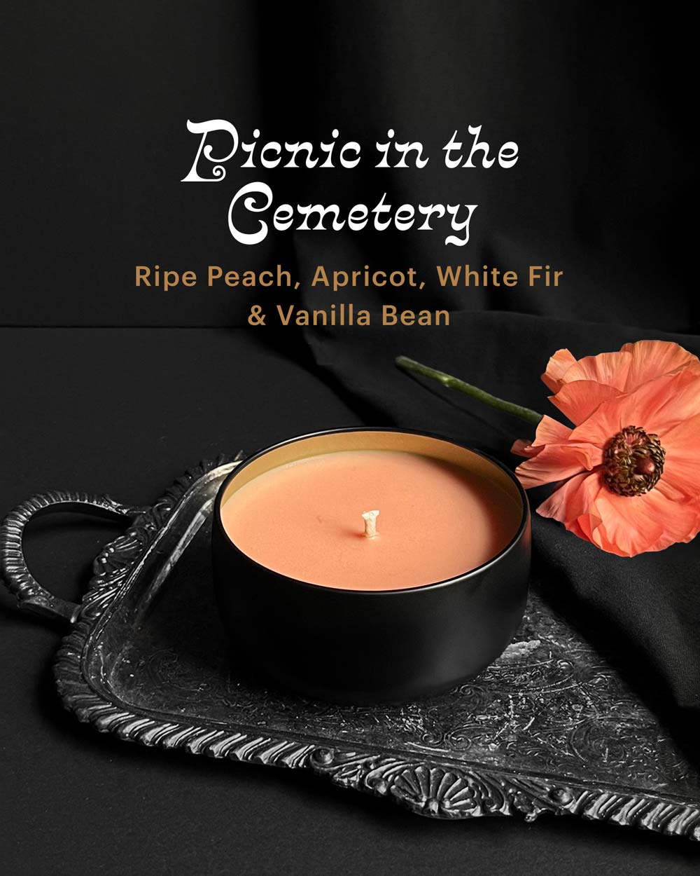Picnic in the Cemetery ~40hr Candle (Peach & White Fir) by Graveyard Wanders - Nocturne LLC