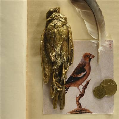 Still Bird Paperweight - Antique Brass - Nocturne LLC